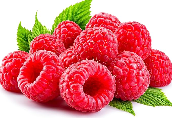 100+ Red Raspberry Seeds: Grow Delicious Heirloom Berries (Non-GMO)