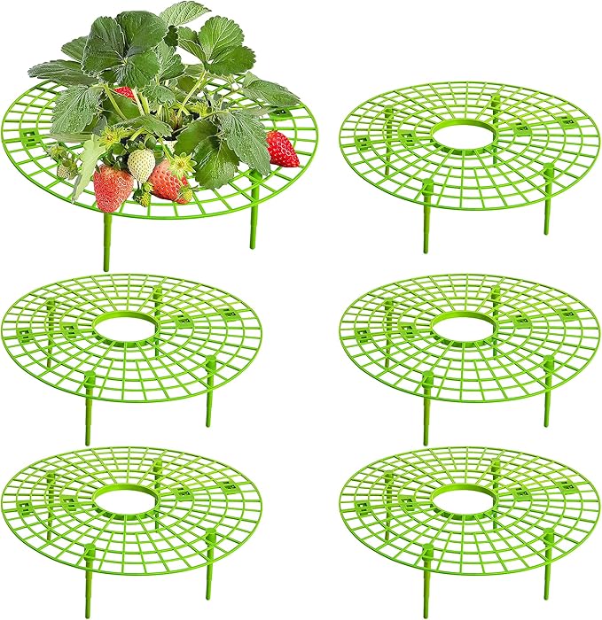 Iceyyyy 6 Pack Strawberry Plant Supports-Strawberry Growing Rack with 4 Legs-Strawberry Stand Holder Bracket for Strawberry Growing Protection Keeping Berries Clean