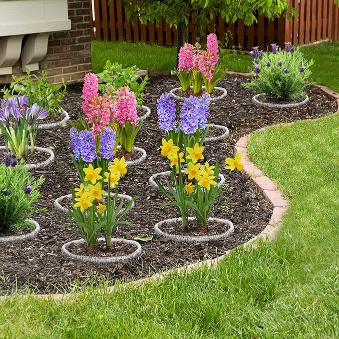 Aulock 1 Gallon Plant Root Protector for Gopher Voles Moles, 6 Pack Stainless Steel Guard Baskets Cages