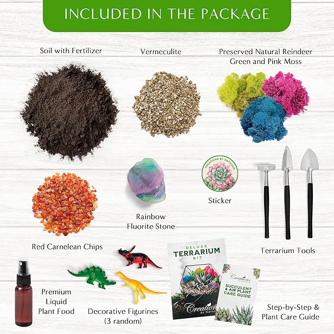 Creations by Nathalie – Premium Small DIY Terrarium Kit for Succulents, Cacti & Air Plants, Includes Soil, Moss, Pebbles, Tools, Amethyst Gem & Crystal Chips – Handmade in USA