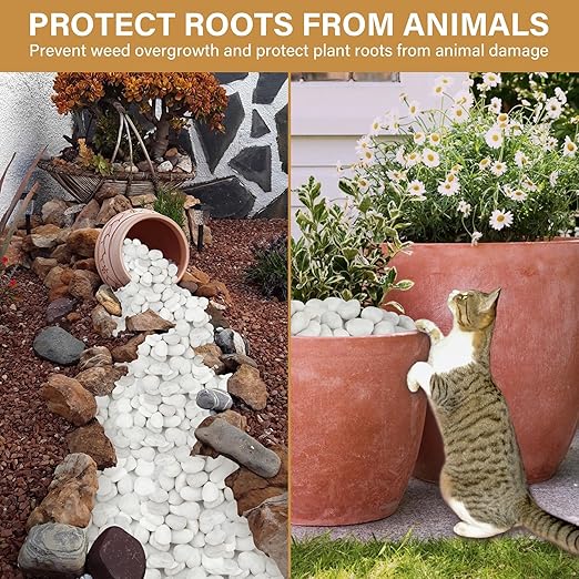 NUPICK 3lb White River Rocks for Plants Indoor, 1-2Inch Pebbles for Vases Fillers, Decorative Gravel for Fish Tank, Natural Polished Stones for Succulent, Bonsai, Landscaping, Bird Baths