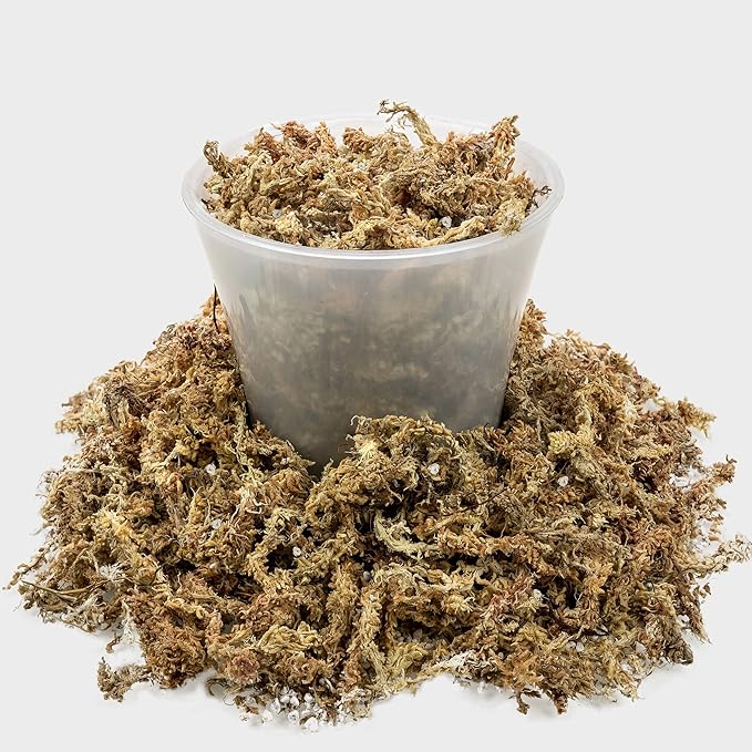 Gardenera Sphagnum Moss Potting Mix for Carnivorous Plants, Moss and Perlite Blend for Potting Venus Fly Traps, Sarracenia, Pitcher Plants - 75% Sphagnum Moss + 25% Perlite - Made in USA - 5 Quart