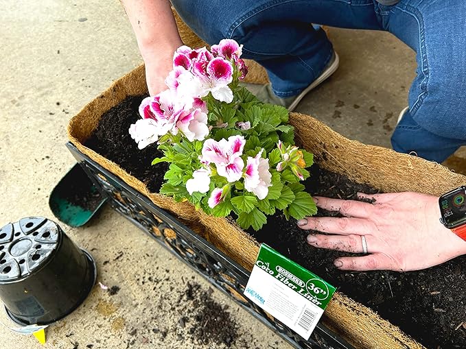 Bosmere F919 Pre-Formed Coco Liner with Soil Moist – 30-Inch Replacement Liner for Window Boxes & Hanging Baskets
