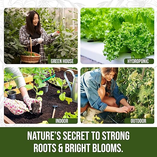 PlantVantage Root & Bloom Liquid Fertilizer - Concentrated Liquid Plant Fertilizer for Strong Roots & Bigger Blooms, Plant Food for Trees, Flowers & Vegetables, Soil or Foliar Application, 8 oz