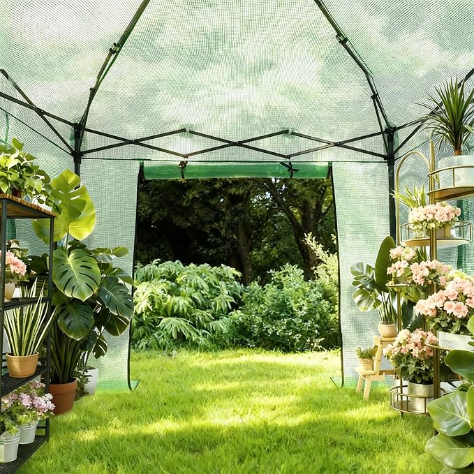 GDY 10X10FT Instant Pop-up Greenhouse, Walk-in Plant Gardening Green House with PE Cover/Roll-Up Zipper Doors/Side Windows for Indoor, Backyard and Outside, Green/Clear.