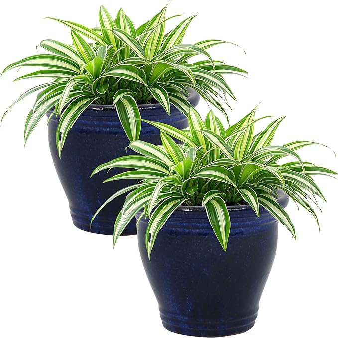 Sunnydaze Round Ceramic Planter - Set of 2 Indoor or Outdoor Plant Pots with Drainage Hole - Studio - 11" - Imperial Blue Glaze
