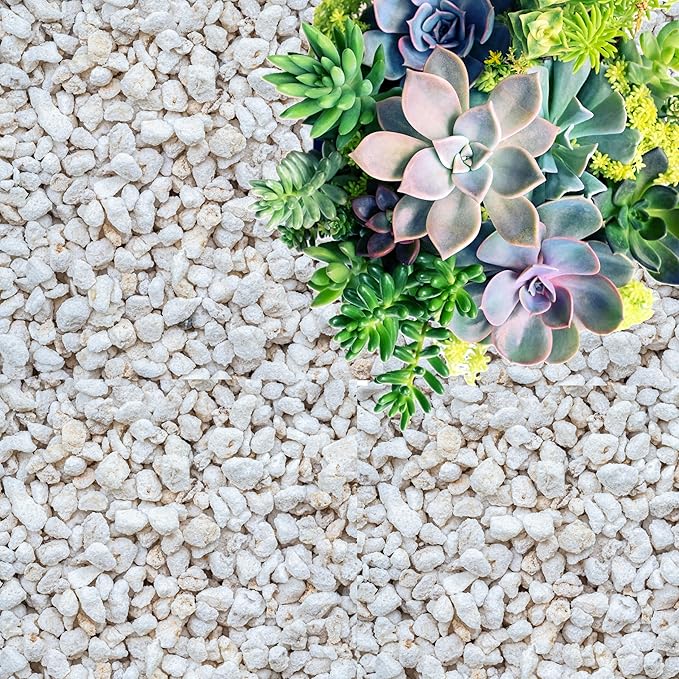 GARDENWISE Perlite for Plants, Coarse and Chunky Horticultural Perlite, Organic Perlite for Gardening Indoor & Outdoor, Perlite Bulk Bag, Made in USA (15 quarts)