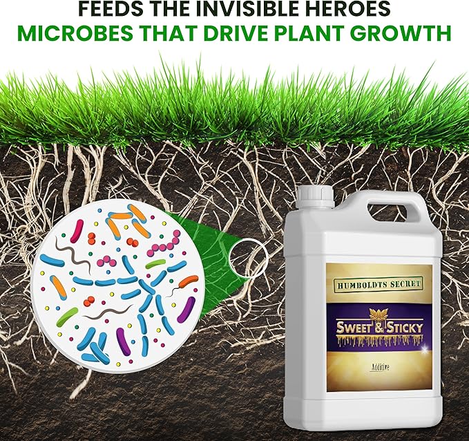 Humboldts Secret Sweet & Sticky Carbohydrate and Saccharide Plant Energy Additive | Indoor and Outdoor Plant Nutrients Enhancer for Growth and Aroma | Boosts Flavor and Development | 32 Ounce