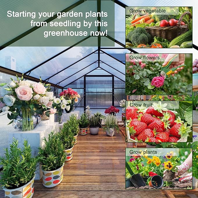 8X10 FT Greenhouses for Outdoors, Aluminum Large Polycarbonate Greenhouse, Quick Setup Walk in Green House with Roof Vent and Swing Lockable Door for Outside, Black (119" W x 96" D x 77" H)
