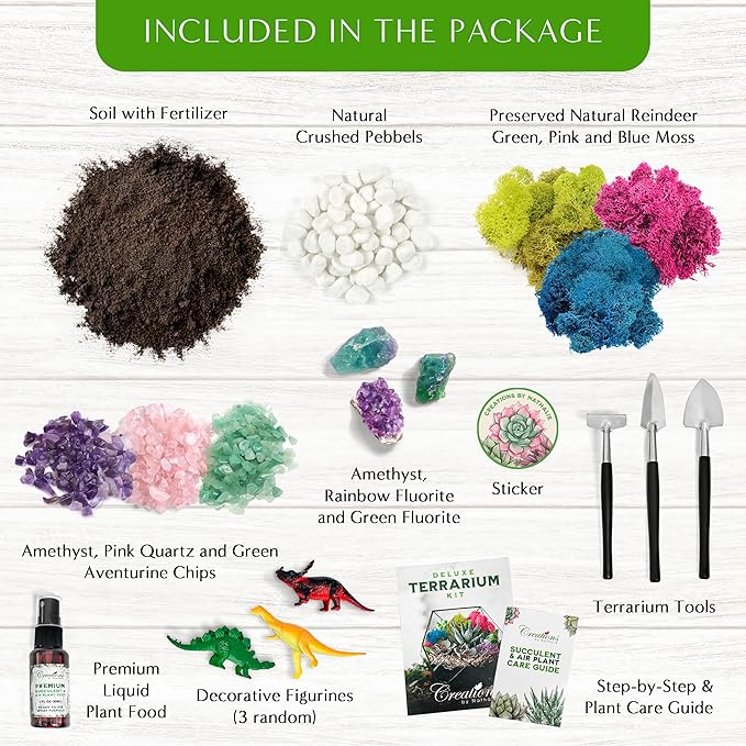 Creations by Nathalie – DIY Large Terrarium Starter Kit with Soil, Moss, Pebbles, Healing Crystal, Tools & Supplies – Terrarium Kit for Adults & Kids, Handcrafted in USA