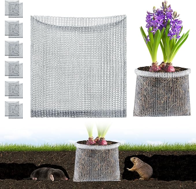 Aulock 1 Gallon Plant Root Protector for Gopher Voles Moles, 12 Pack Stainless Steel Guard Baskets Cages