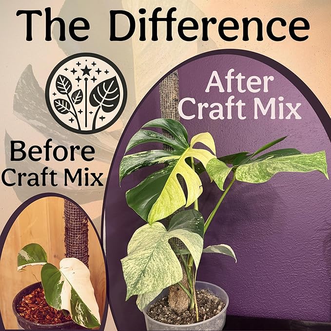 Grow Queen Craft Aroid Potting Mix- Elite Alocasia, Philodendron, Monstera Soil Mix, Chunky, Well Draining Potting Soil for Indoor Plants, All Tropical Plants & Houseplants, Peat Free 12QT