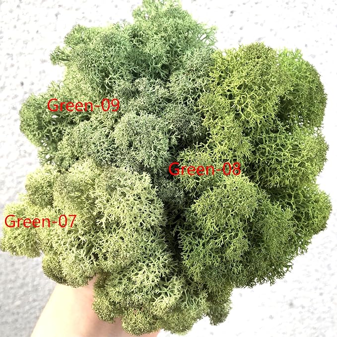 prefleur Preserved Reindeer Moss Natural Green DIY Kit Gardenning Art Wall Decor Florist Decor Easter Table Decor Wedding