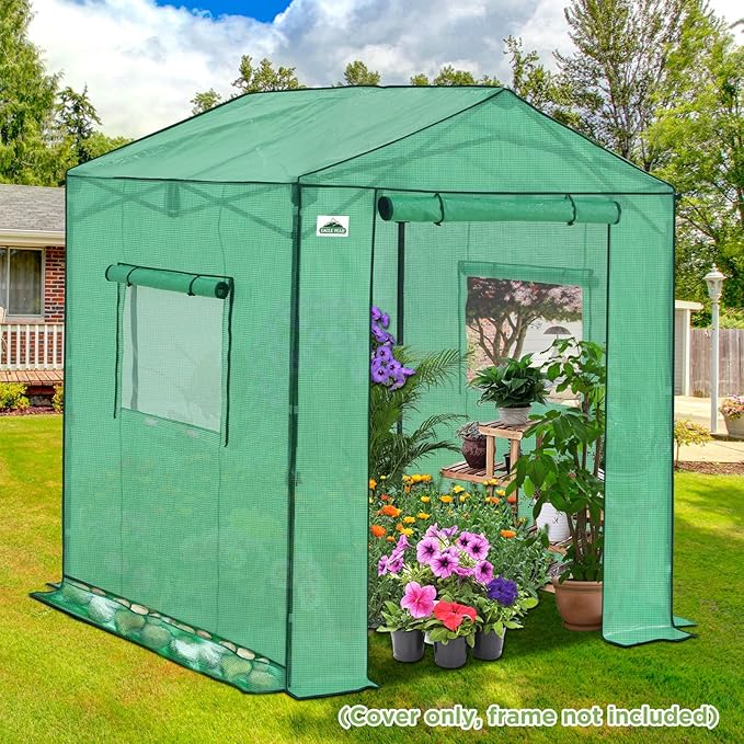 EAGLE PEAK Replacement Cover for 6x6 Gable Roof Pop up Greenhouse, Front and Rear Roll-Up Zipper Entry Doors and 2 Large Roll-Up Side Windows (Frame Not Included), Green