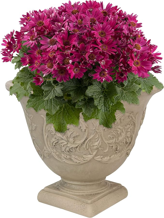 Sunnydaze 16-Inch Darcy Round Plant Pot - Polyresin Large Outdoor Urn Planter with Drillable Drainage Hole - Beige