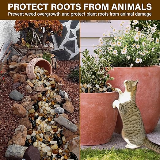 NUPICK 6lb River Rocks for Plants Indoor, 1-2Inch Mixed Pebbles for Vase Fillers, Decorative Gravel for Fish Tank, Natural Polished Stones for Succulent, Bonsai, Landscaping, Bird Baths
