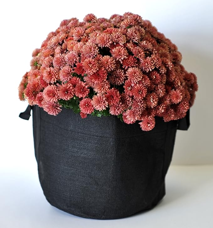 RootEase Garden Planting Aeration Fabric Container, Heavy Duty Durable Fabric Grow Pots, Perfect Harvest Planter, Raised Bed, Best Root Treatment Eco-Friendly Grow Bags (5 Gallon, Black)