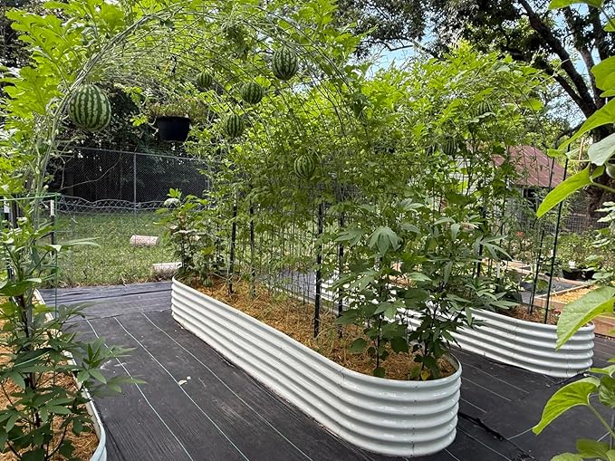 A ANLEOLIFE 6 Pcs 12X3X1.5 ft Oval Extra Large Galvanized Raised Garden Beds Outdoor for Planting Vegetables Flowers Herb, Antique White