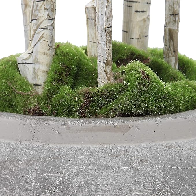MY SWANKY HOME River Birch Tree Branches Potted Concrete Planter Minimalist Floor Indoor Gray 77.5" H