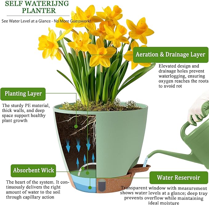 Fielda Self Watering Pots for Inoor Ourdoor Plants 8/7/6.5/6/5 Inch Plastic Planters with Drainage Holes & Water Level Indicator, Decorative House Flower Nursery Planting Pots with Saucers(Green)