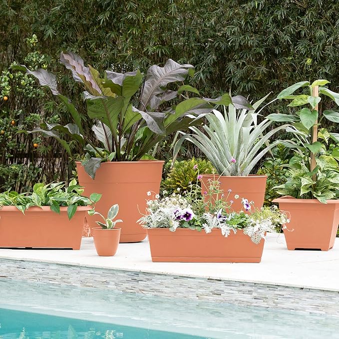 Bloem Dayton 24" Terra Cotta Recycled Plastic Rectangle Window Box Planter with Saucer Tray for Indoor and Outdoor Gardening
