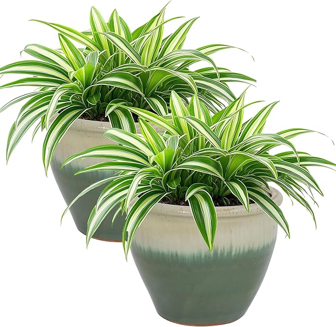 Sunnydaze Round Ceramic Planter - Set of 2 Indoor or Outdoor Plant Pots with Drainage Hole - Chalet - 12" - Seafoam Glaze