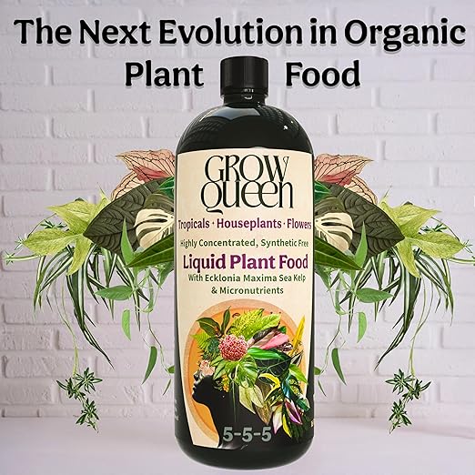 Grow Queen Organic Liquid Indoor Plant Food, Houseplant, Tropical & All-Purpose Indoor Plant Fertilizer, Organic Liquid Fertilizer 5-5-5 with Sea Kelp, 16oz Treats 110 Gallons