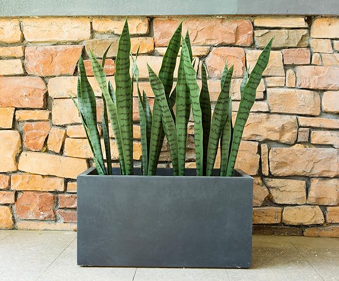 Kante 23.2" L Long Rectangular Concrete Planter, Large Outdoor Indoor Garden Pots with Drainage Hole and Rubber Plug, Charcoal