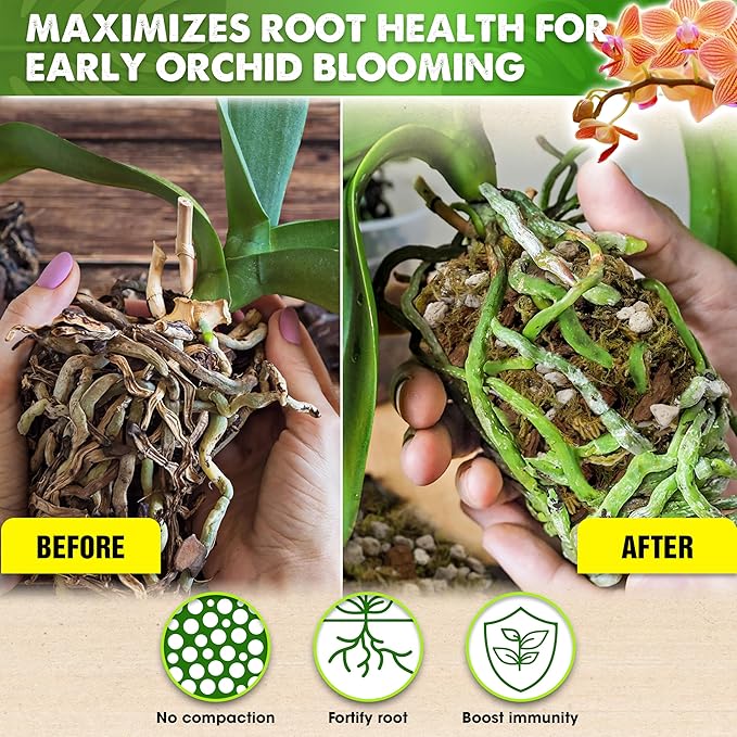 [Upgraded] DUSPRO Orchid Potting Mix for Repotting with Forest Moss, Pine Bark, Perlite & Pumice, Orchid Bark Potting Mix,Orchid Repotting Soil, Drainage Indoor Potting, Orchid Pot Not Included, 4 QT