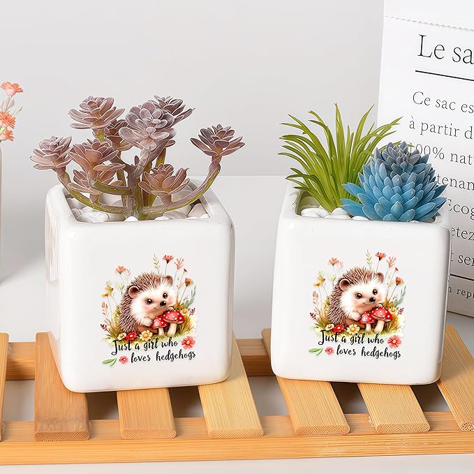 BJDAMAI Hedgehog Succulent Planter Flower Plant Pot Small, Gifts for Women Teens Girls Kids, Hedgehog Lovers Themed Stuff Accessories Things Decor Merch, Home Office Table Desk Decoration!