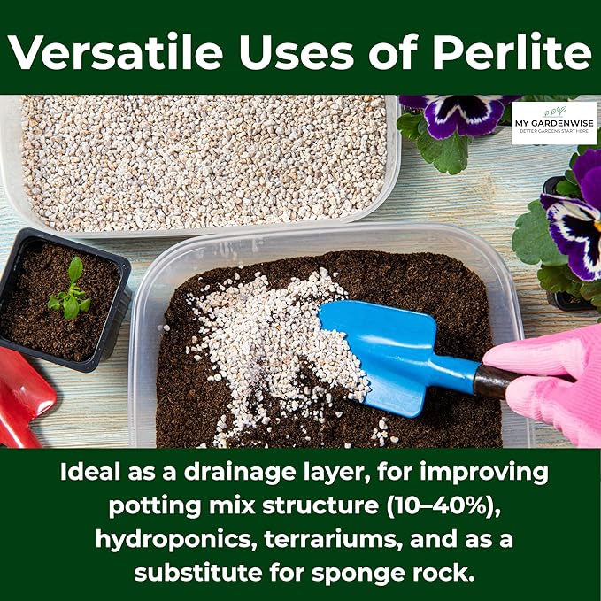 GARDENWISE Perlite for Plants, Coarse and Chunky Horticultural Perlite, Organic Perlite for Gardening Indoor & Outdoor, Perlite Bulk Bag, Made in USA (1 Quart)