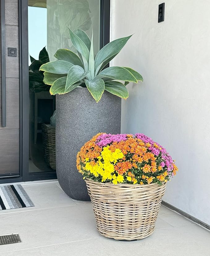 Kouboo Rattan Planter Basket with Plastic Pots Planters Flower Pots Decorative Fall planters for Front Porch Whiskey Barrel Basket Indoor Outdoor Plant Pots Medium