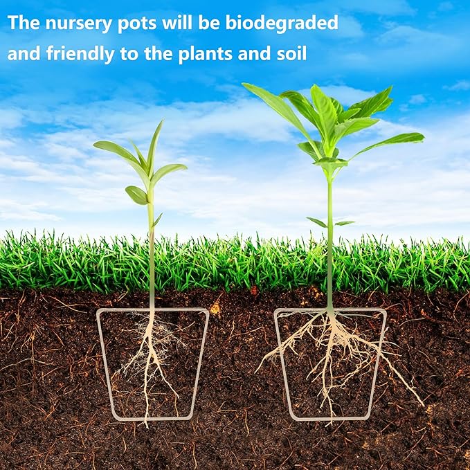 PURPLE STAR 1N 20 Pcs Biodegradable Nursery Pots with Humidity Dome- 2.3 Inch Square Seeding Starter Pots for Planting- Peat Pots for Seedlings Garden Vegetable Flower Germination