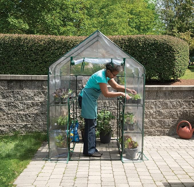 Miracle-GRO 4'8" x 4'8" x 6'5" All-Season Small Walk-in Greenhouse with 8 Wire Shelves for Outdoors, Easy-Access and Durable, Translucent