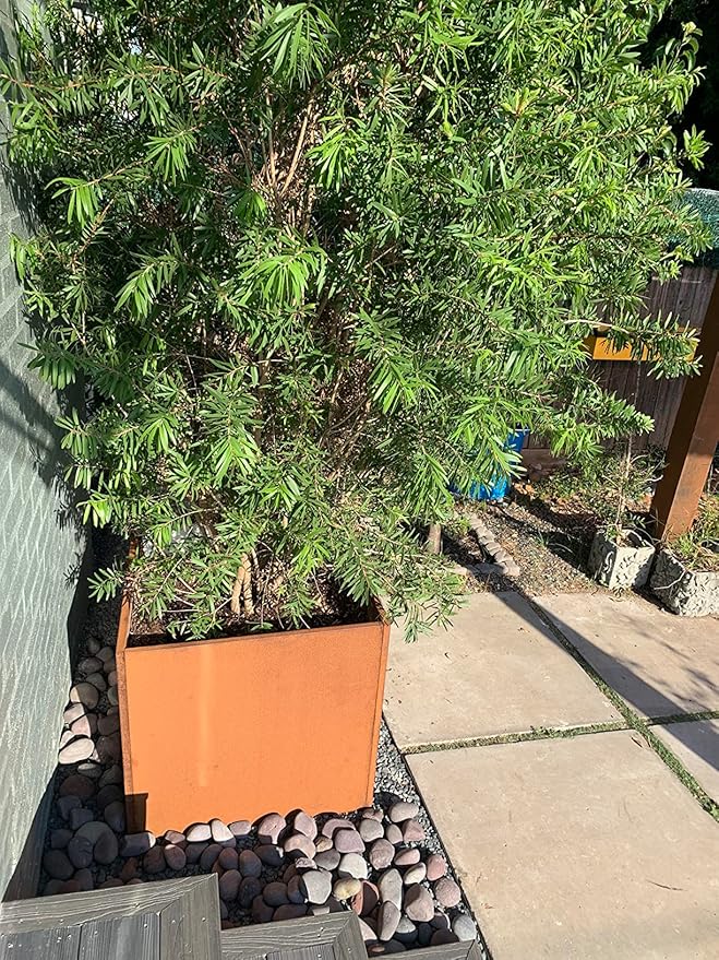 GZGNEEVL Corten Steel Planter Box Metal Square Planters Steel Large Planter Outdoor Tall Plant Durable Antique Detached for Commercial Residential Patio Deck and Backyard 26 Inch