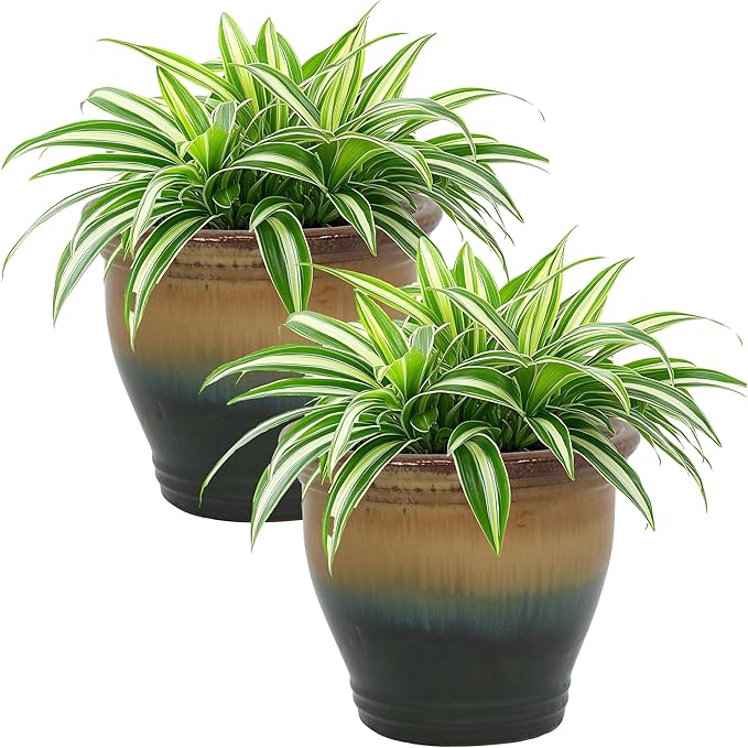 Sunnydaze Round Ceramic Planter - Set of 2 Indoor or Outdoor Plant Pots with Drainage Hole - Studio - 11" - Forest Lake Green Glaze