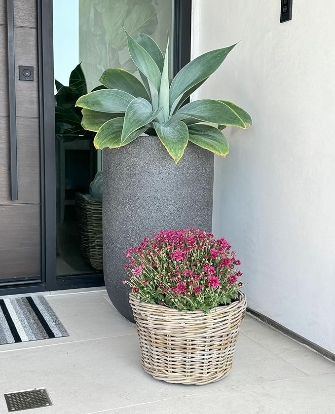 Kouboo Rattan Planter Basket with Plastic Pots Planters Flower Pots Decorative Fall planters for Front Porch Whiskey Barrel Basket Indoor Outdoor Plant Pots Small