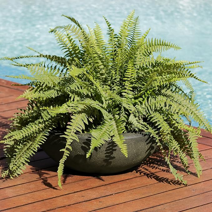 Sunnydaze Percival 20.75" Shallow Outdoor Planter Bowl for Flowers and Succulents - Polyresin Double-Walled Design - Sable