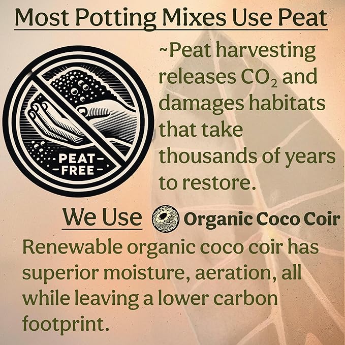Grow Queen Craft Aroid Potting Mix- Elite Alocasia, Philodendron, Monstera Soil Mix, Chunky, Well Draining Potting Soil for Indoor Plants, All Tropical Plants & Houseplants, Peat Free 12QT