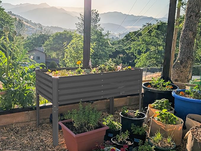 Galvanized Raised Garden Beds Outdoor with Legs // 48×24×31in Elevated Planter Box for Vegetables, Flowers (Gray) // Large Metal Garden Bed for Backyard Patio Gardening