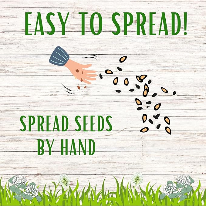 Flawn Seed Kits White Dutch Clover Seed, 4.4 Oz, Organic Coated, Natural Lawn, Ground Cover, Hunting Food Plot, Covers up to 1,000 SqFt