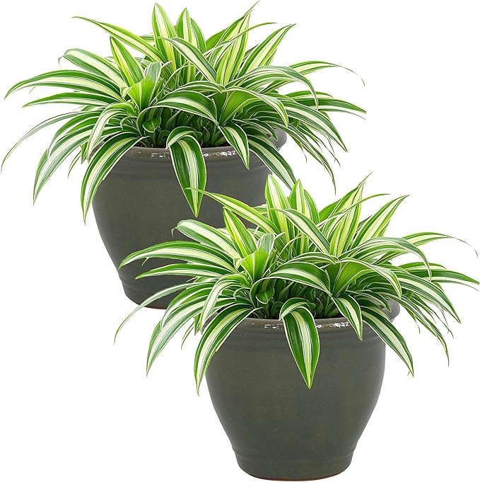 Sunnydaze Round Ceramic Planter - Set of 2 Indoor or Outdoor Plant Pots with Drainage Hole - Studio - 9" - Gray Glaze