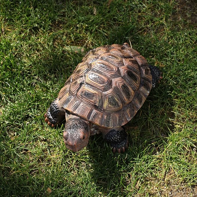 Sdeetesamjun Turtle Statue, Resin Garden Sculpture Indoor/Outdoor Yard Lawn Ornament,Home Decor (Medium)