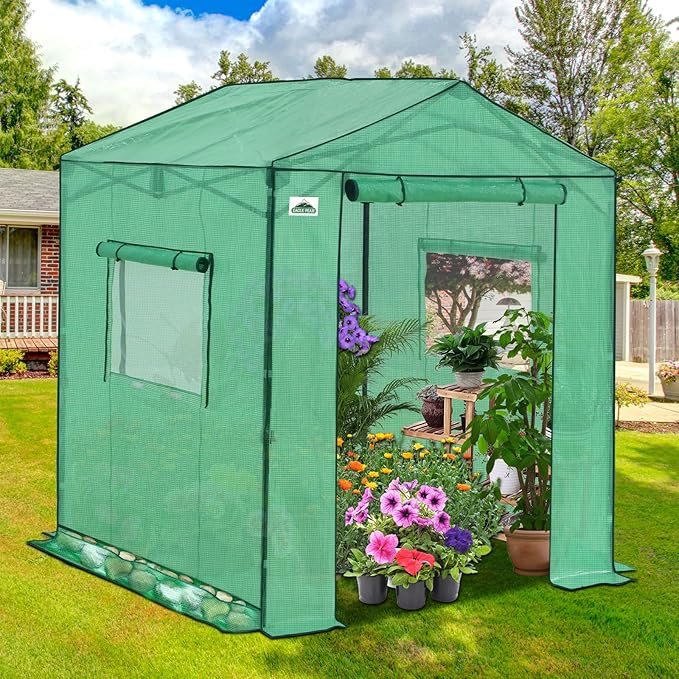 EAGLE PEAK 6x6 Portable Pop Up Greenhouse, Patented Center Lock Easy One Person Setup, Walk-in Outdoor Greenhouse with Gable Roof, Weight Bags, Zippered Doors & Windows, Green