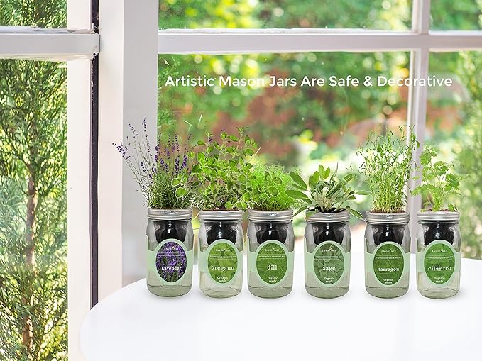 Environet Hydroponic Herb Growing Kit Set, Self-Watering Mason Jar Herb Garden Starter Kit Indoor, Windowsill Herbs Garden, Grow Your Own Herbs from Organic Seeds (Basil, Dill, Chives)
