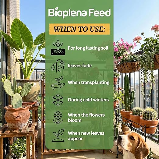 BIOPLENAFEED Cactus & Succulent Plant Food | Easy Cut & Stick Liquid Fertilizer | Made in USA | Promotes Growth & Blooms