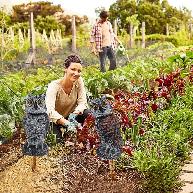 Hausse 2 Pack Fake Owl Decoys to Scare Birds Away, Rotating Head Plastic Owl Bird Deterrents, 10.6 Inch Height Bird Scarecrow Nature Enemy Horned Pest Repellent for Outdoor Garden Yard