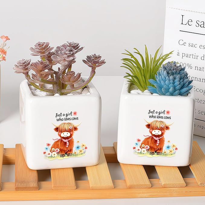 BJDAMAI Highland Cow Succulent Planter Flower Plant Pot Small, Gifts for Women Teens Girls Kids, Cow Lovers Themed Stuff Accessories Things Decor Merch, Home Office Table Desk Decoration!