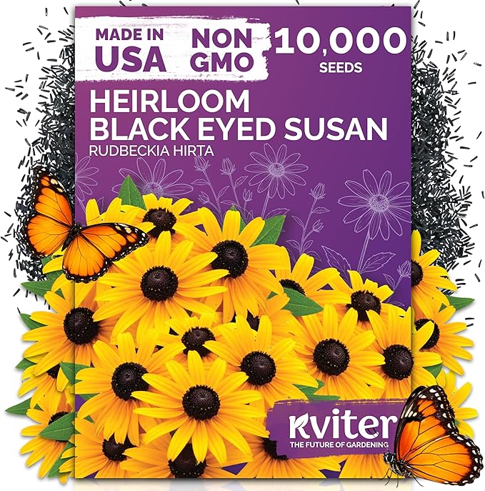 KVITER 10,000 Black Eyed Susan Seeds for Planting (Rudbeckia hirta) – Gloriosa Daisy Wildflower Seed, Heirloom, Non-GMO & Organic – Flower Seeds to Plant Outside & Inside, Borders, Containers