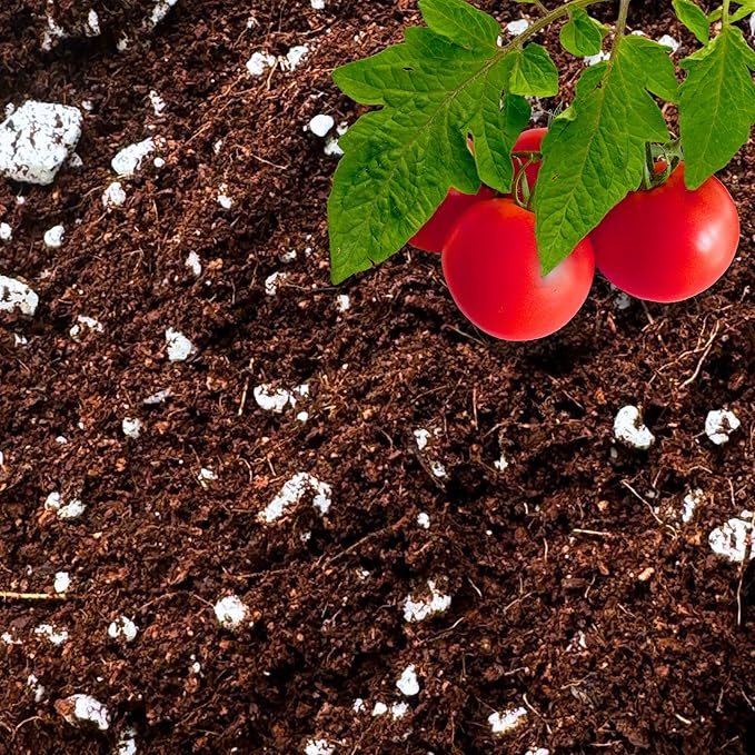 GARDENWISE Coco Perlite - Coco Coir Perlite Mix - 70/30 Growing Media - Hydroponic, Indoor & Outdoor, Grow Bags & House Plants (5 quarts)